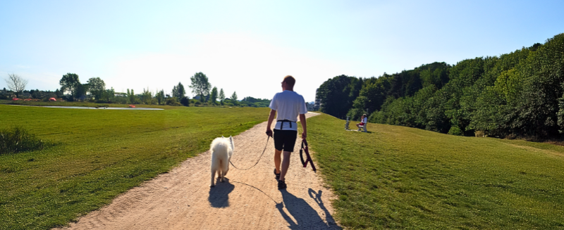 Die 4 Stufen auf dem Weg des Kahu ʻĪlio Die 4 Stufen auf dem Weg des Kahu ʻĪlio